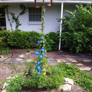 Meet your Posher, Maggie